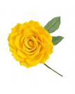 Flor amarillo