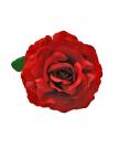 Flor granate