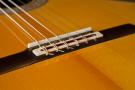 Guitarra Flamenca Graciliano Perez negra 2015 concert