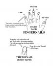 Proteinas hidratacion para las uñas del guitarrista