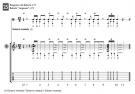 Guitarra Flamenca en 48 clases DVD 2