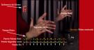 Aprende y practica las palmas  (DVD + Libreto)