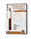 Punteando del pie de los ritmos y compás flamenco DVD 1