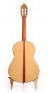 Guitarra Flamenca Daniel Gil De Avalle nr 150 2014 concert