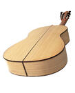 Mijail Kharash guitarra flamenca