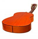 Antonio Torres Dorado guitarra flamenca