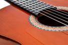 Antonio Torres Dorado guitarra flamenca