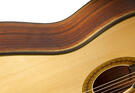 Manuel Reyes guitarra flamenca (lazarides)