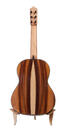 Manuel Reyes guitarra flamenca (lazarides)