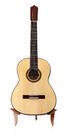 Manuel Reyes guitarra flamenca (lazarides)