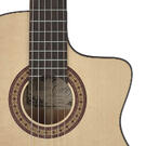 Guitarra flamenca Salvador Cortez Fishman