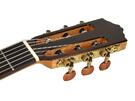 Guitarra flamenca Salvador Cortez Fishman