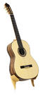 Reyes guitarra flamenca palosanto (lazarides)
