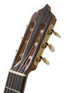 Reyes guitarra flamenca palosanto (lazarides)