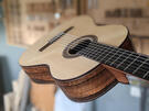 Reyes guitarra flamenca palosanto (lazarides)