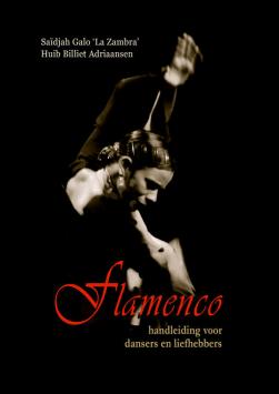 Flamenco - Manual de instrucciones para los bailarines y los amantes del flamenco