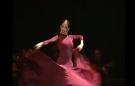 Alegrias y Guajira DVD clases de baile flamenco  del conservatorio Flamenco de Madrid vol 1