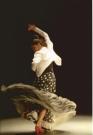 Alegrias y Guajira DVD clases de baile flamenco  del conservatorio Flamenco de Madrid vol 1
