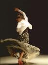 Pack baile flamenco Clases de DVD del conservatorio de Madrid DVD 1 2 3